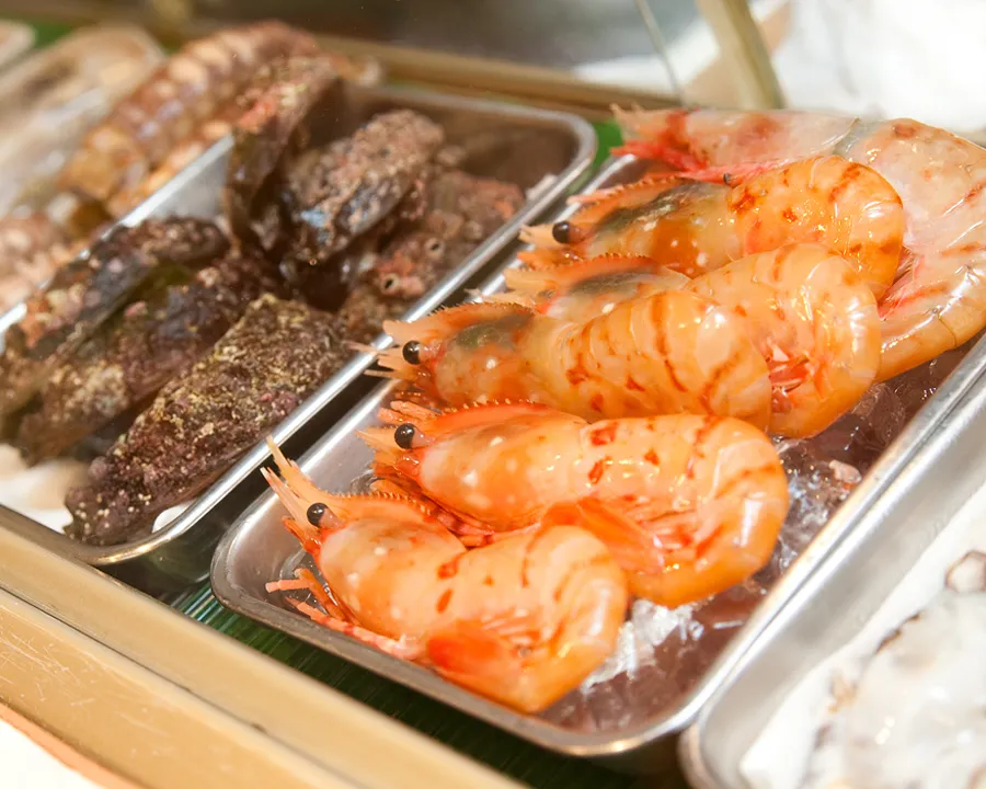 本日のネタ